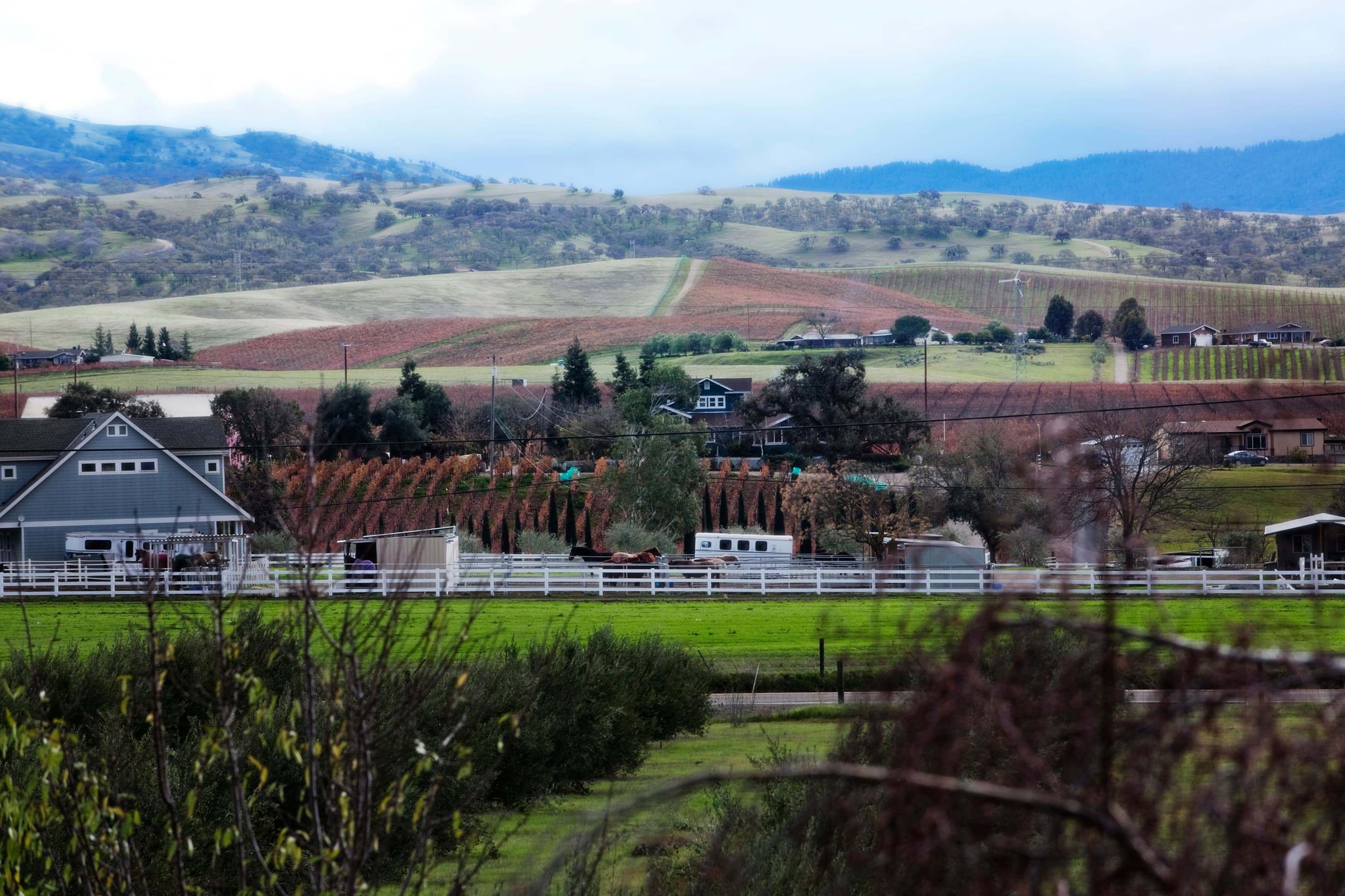 A scenic view of a rural landscape with rolling hills covered in vineyards.