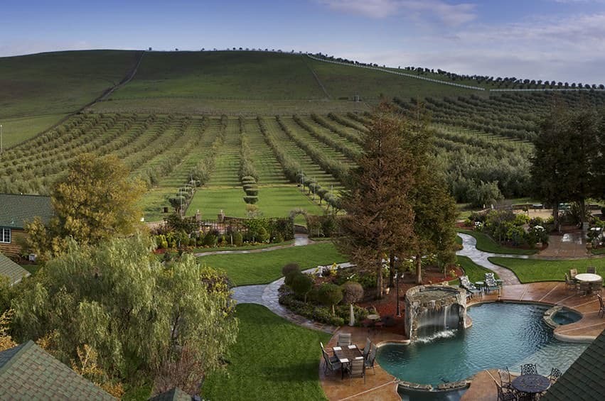 A panoramic view of a lush orchard landscape with a swimming pool and cascading waterfall in the foreground.