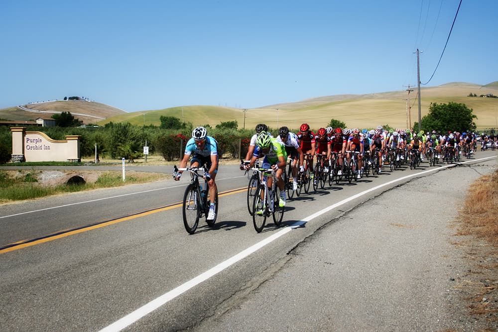 A competitive group of cyclists riding closely together on a rural road.