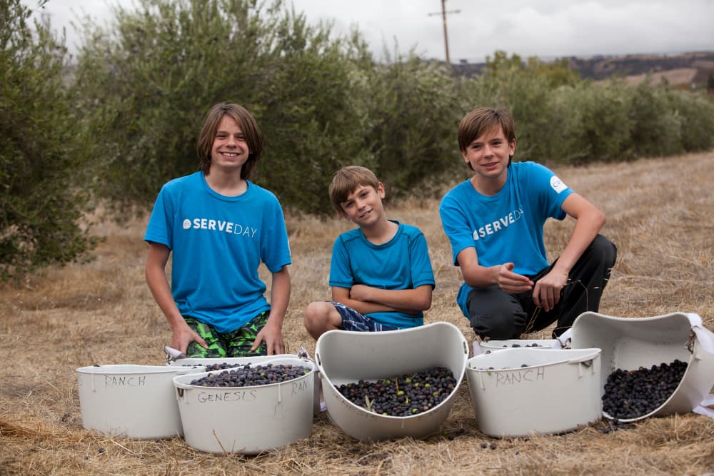 Three boys in blue shirts smile beside buckets of harvested grapes in a vineyard.