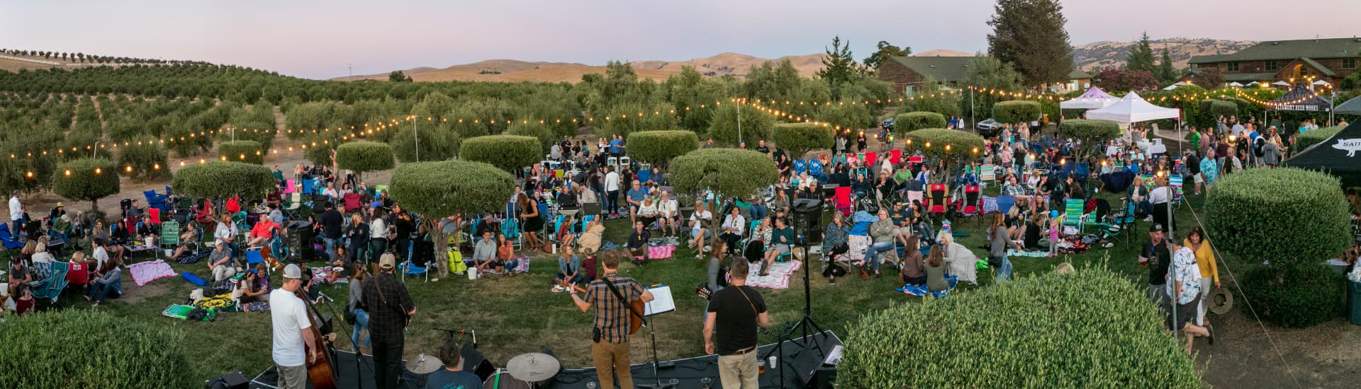 A lively outdoor concert scene with a large crowd seated on lawn chairs among trees and lights.