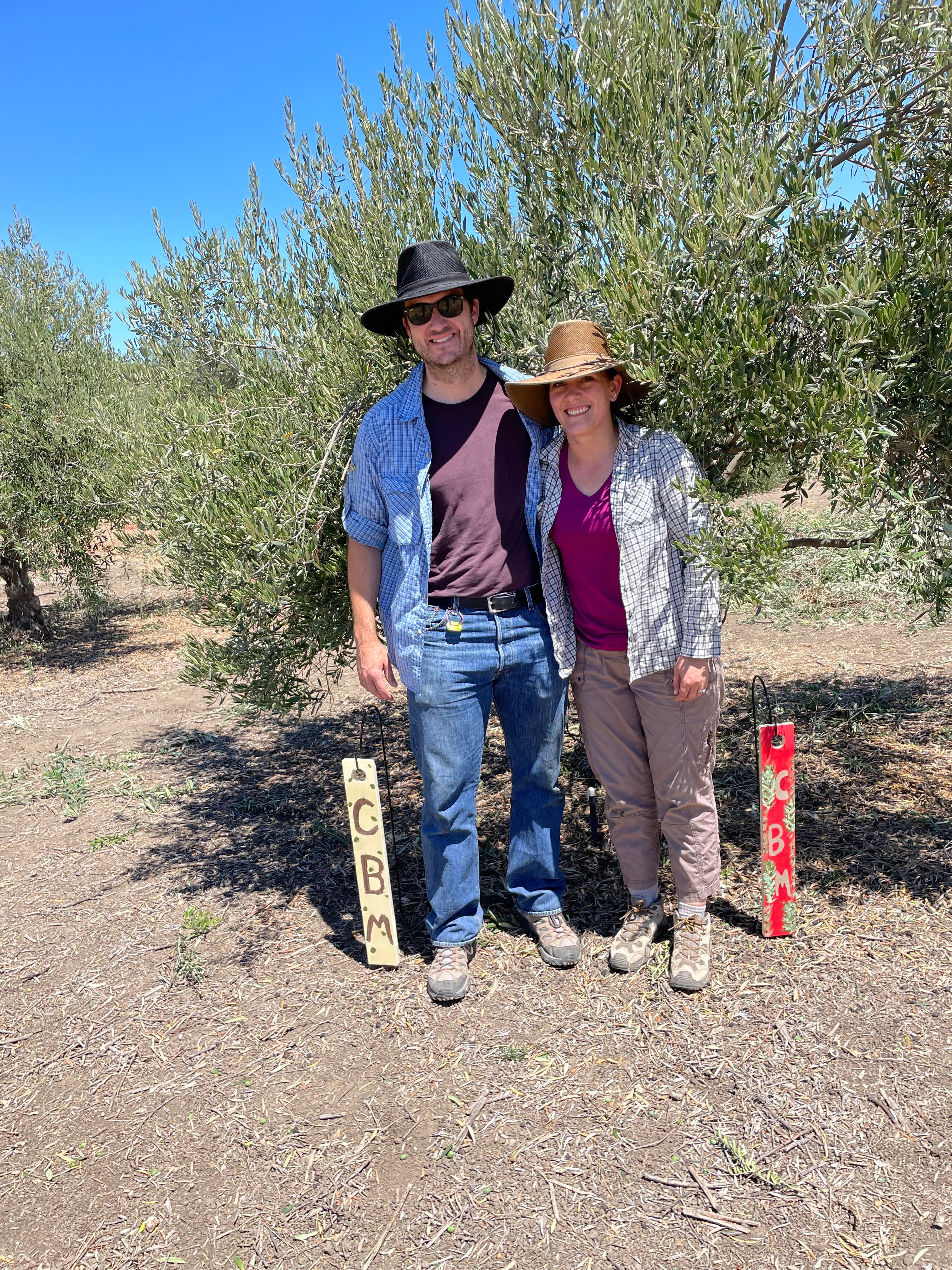 A man and a woman stand together in an olive grove, each wearing hats and casual attire, with signs labeled "CBM" on either side.