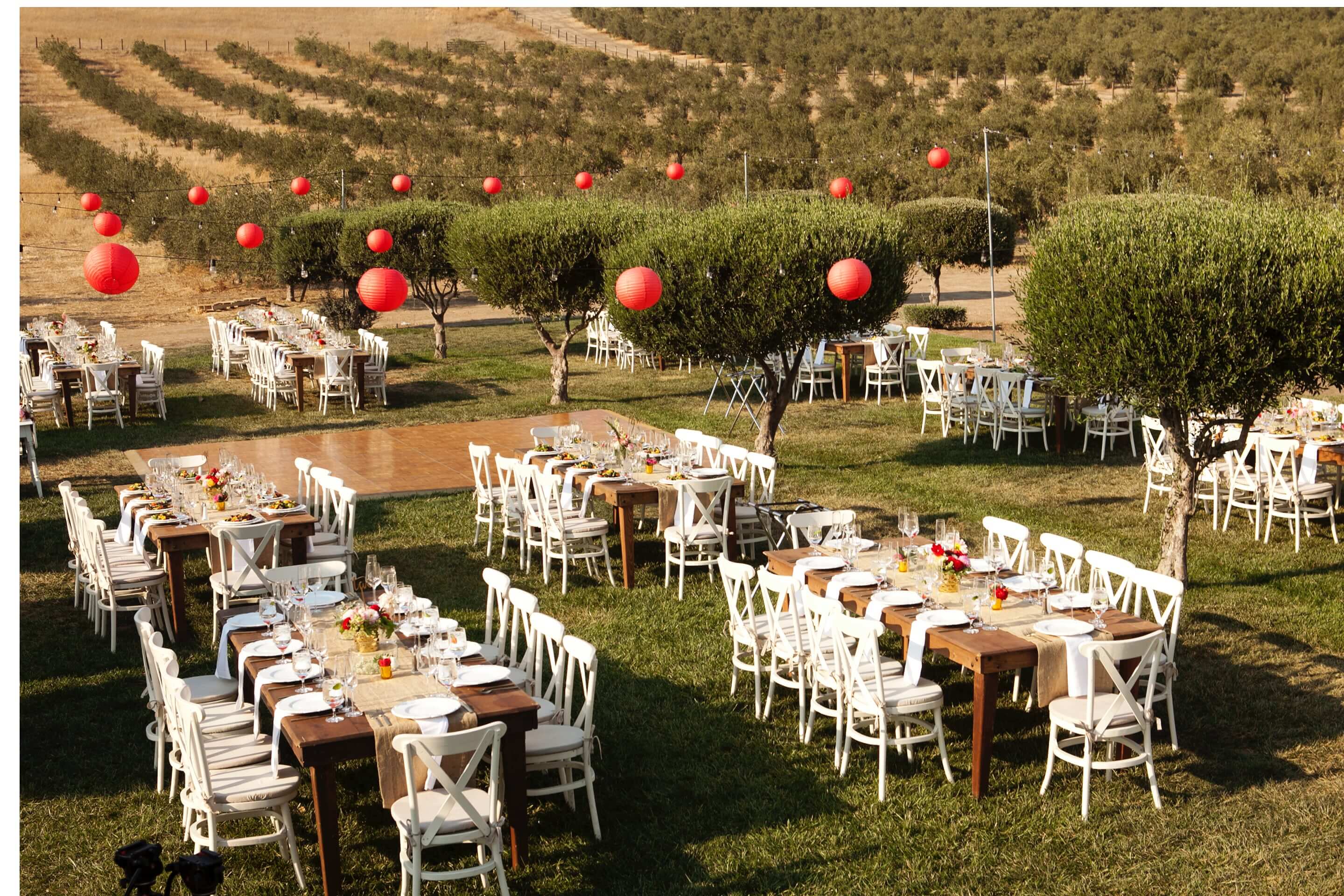 A beautifully arranged outdoor dinner setup with white tables and red lanterns surrounded by olive trees.