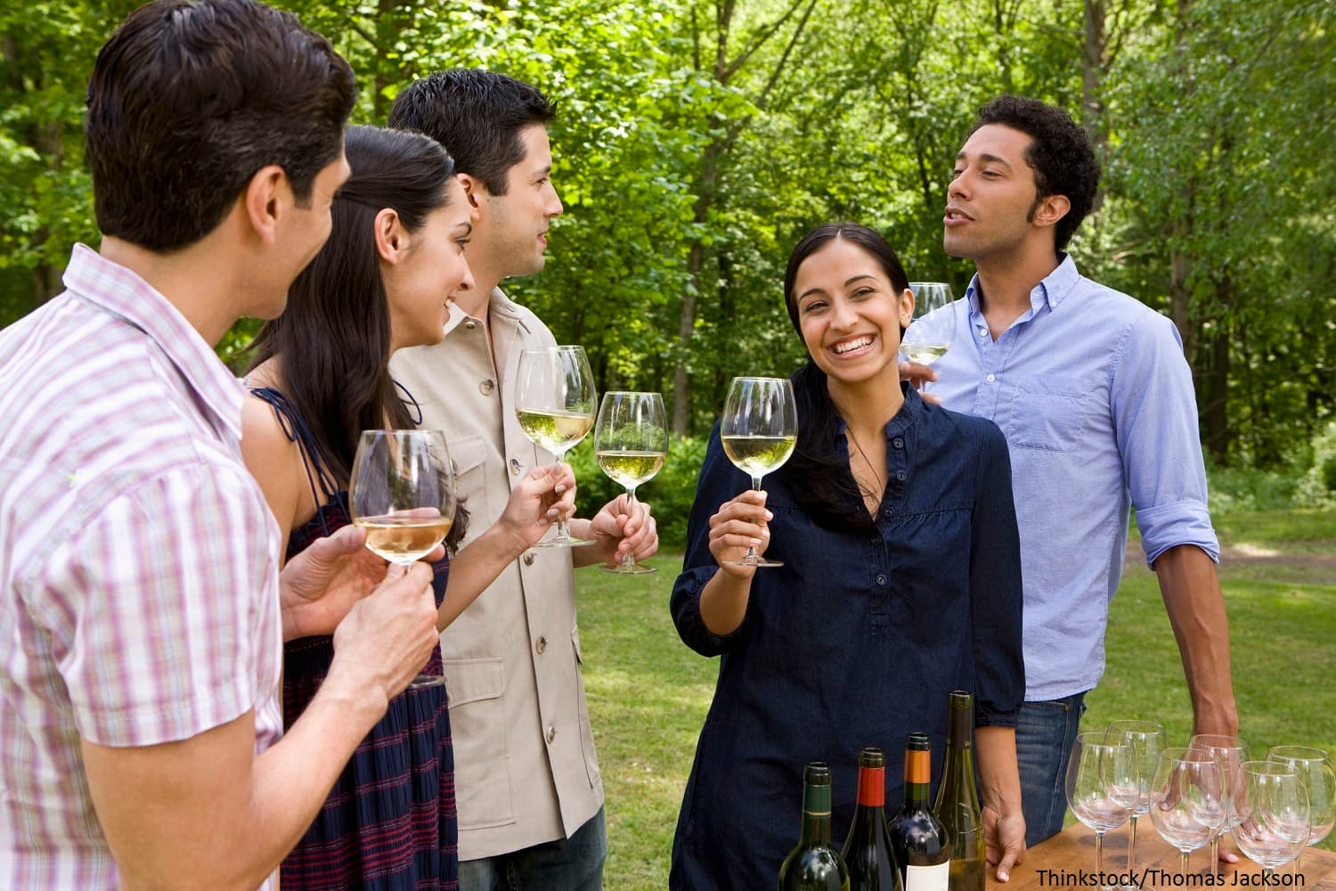 A group of five friends cheerfully toasting with glasses of white wine in a green outdoor setting.