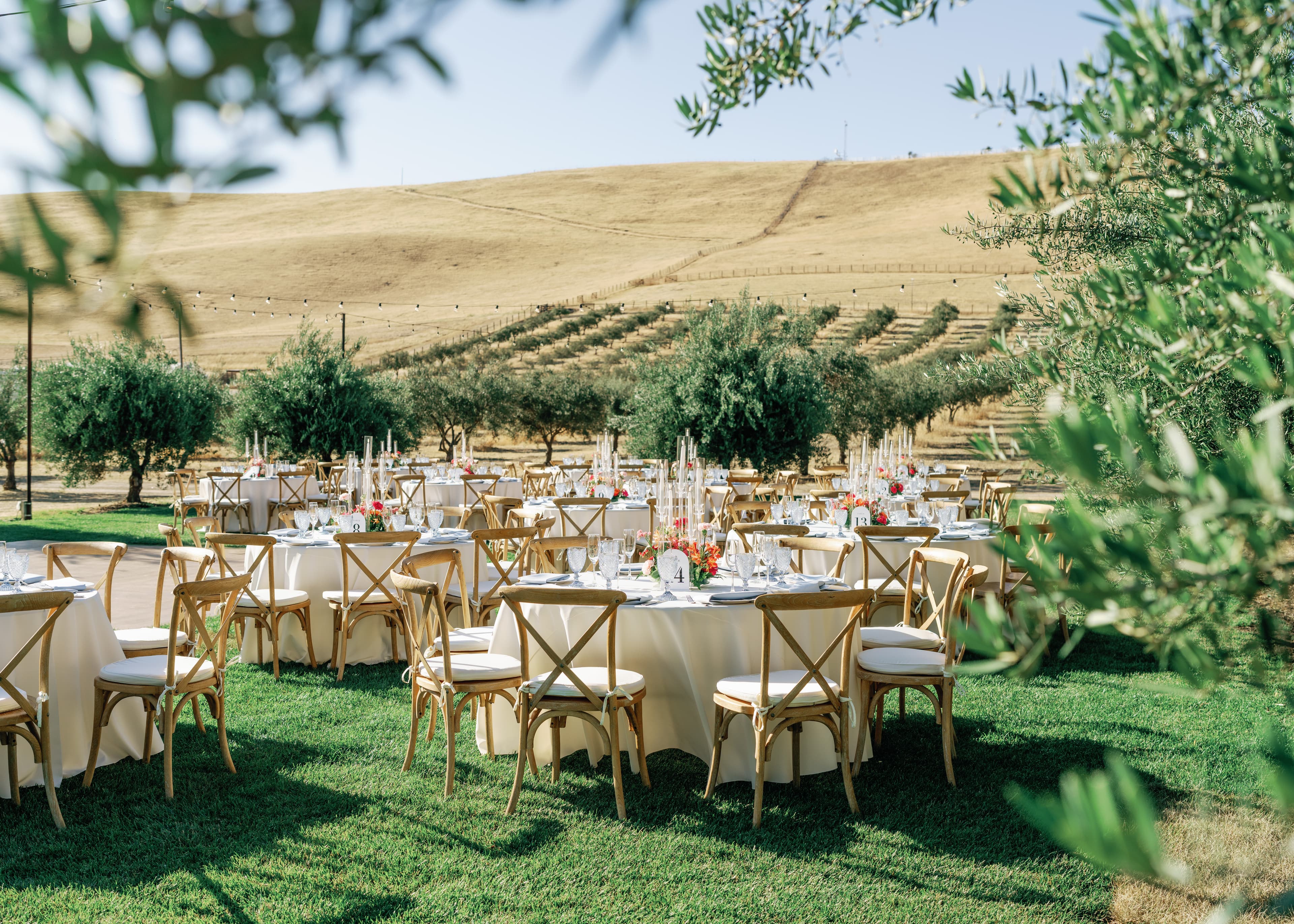 A beautifully set outdoor dining area with round tables and scenic hills in the background.