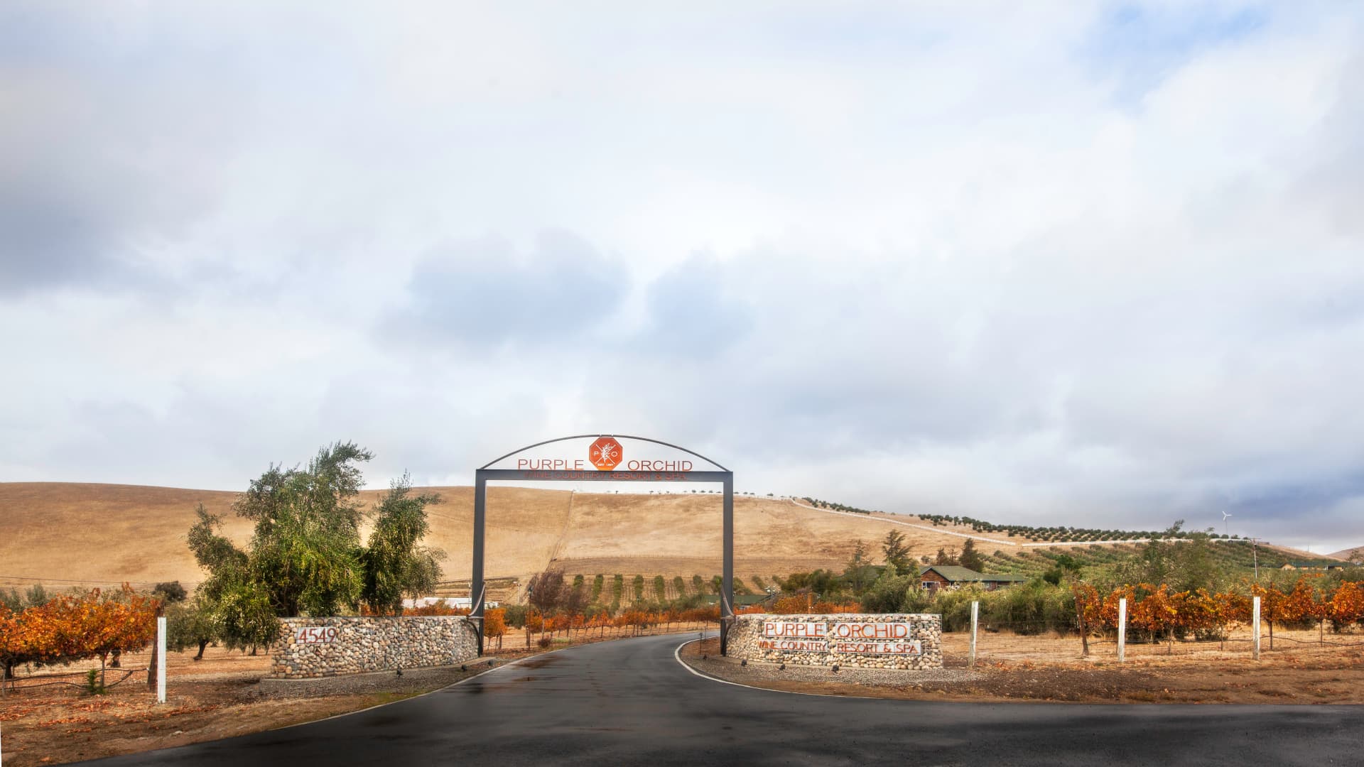 A stone archway with the Purple Orchid Winery sign, leading to a vineyard with rolling hills in the background.